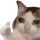 catsad Discord Emoji