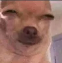 sam_HmmSus