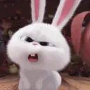 S_bunnyindignado