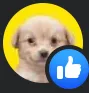 perro perro