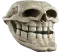 Skull20
