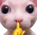 shh