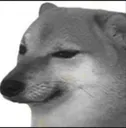 saddog