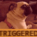 Triggered triggered Discord Emoji