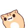 wigglekitty