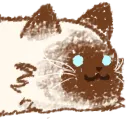 sncatface