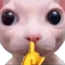 emoji_4