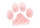 paw
