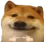 dogeshy