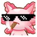 axocool axocool