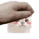 patcat