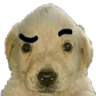 MS_Quedice Discord emoji