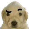 GW_Quedice