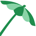 codejambrella codejambrella