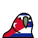 cubaParrot