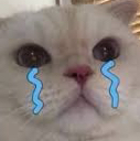 MBR_gatitotriste Discord emoji