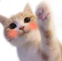 MBR_gatitowave Discord emoji