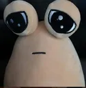 comemeelbicho comemeelbicho