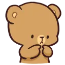bear_shy