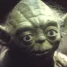 Yoda_WHAT