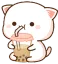 Cat_Sip Cat_Sip