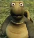 turtlehuh