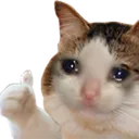 Succubus_catthumbsup Discord Emoji