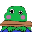 borpaShy