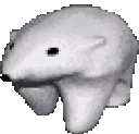 gxg_bear