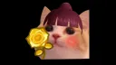 AngelPop