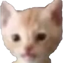 Succubus_oof Discord Emoji