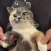 FUCK_WTFTHISCATISSOCUTETOOJWKW