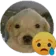 sepso_sad