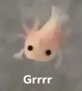 grrr