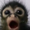 mexichango Discord emoji