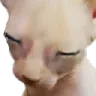 aliensleep