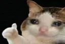 crycat