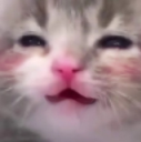 blweb Discord emoji