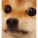 dogeserious Discord Emoji