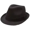 SV_fedora
