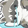 BRaccoonCryP2U