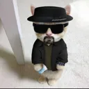 imtheonewhoknocks