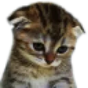 sadkittyy Discord Emoji