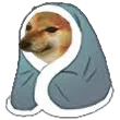 cheemsblanket