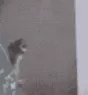 catscooble catscooble