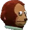 Stare