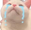 catcrysobsad