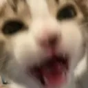 HI_scream