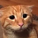 HI_sad