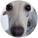 sadzin Discord Emoji